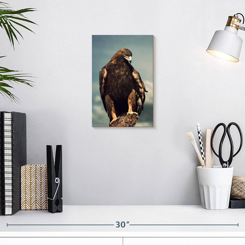 Brampt Regal Golden Eagle, 12" H x 8" W