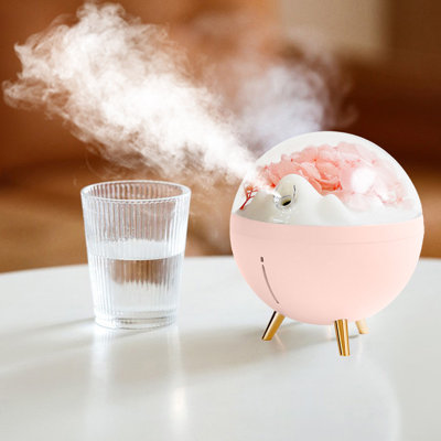 Space Flower Humidifier Small Portable Color Mood Night Light Silent Two Speed Mist Humidification Care Moisturizing Instrument Immortal Flower Timed Spray