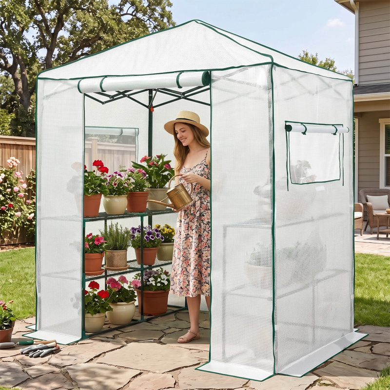 Serre Pop Up Greenhouse 6 pi x 4 pi, Blanc