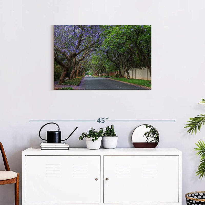 Mehar Jacaranda Trees In Pretoria, 20" H x 30" W