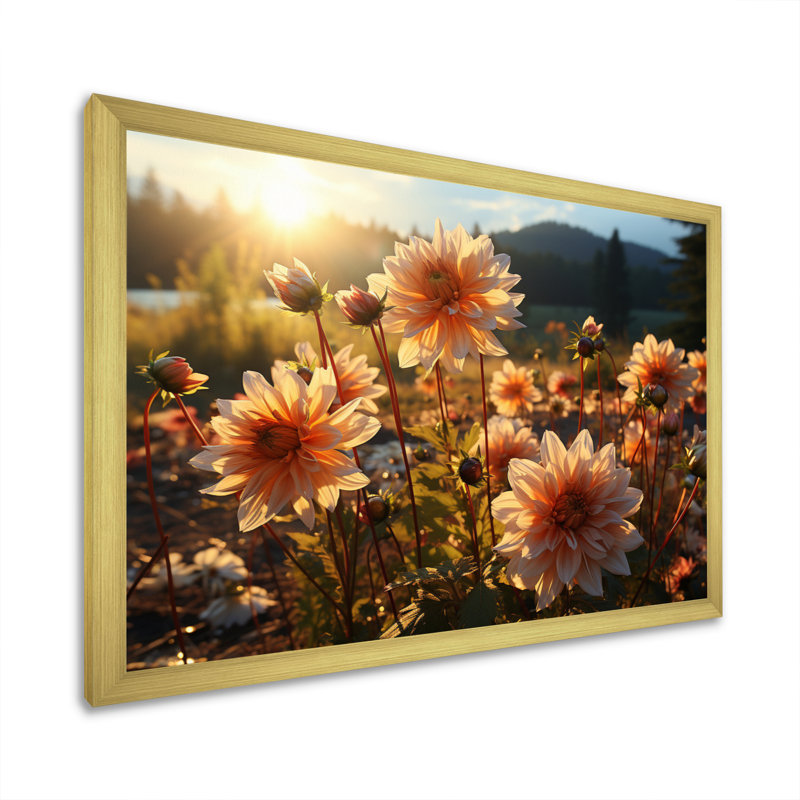 Daisies Field Sunrise II - Floral Wall Art Prints, Cadre doré à une seule photo, H 34 po x l 44 po x P 1,5 po