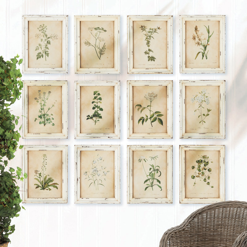 Wild Flower Botanical Set