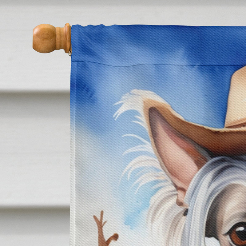 Drapeau Cowboy Welcome House, Chien chinois à crête