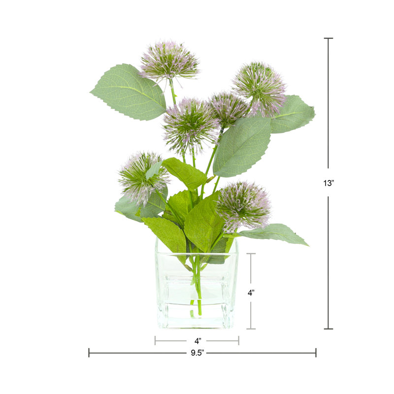 Globe chardon dans un vase en verre