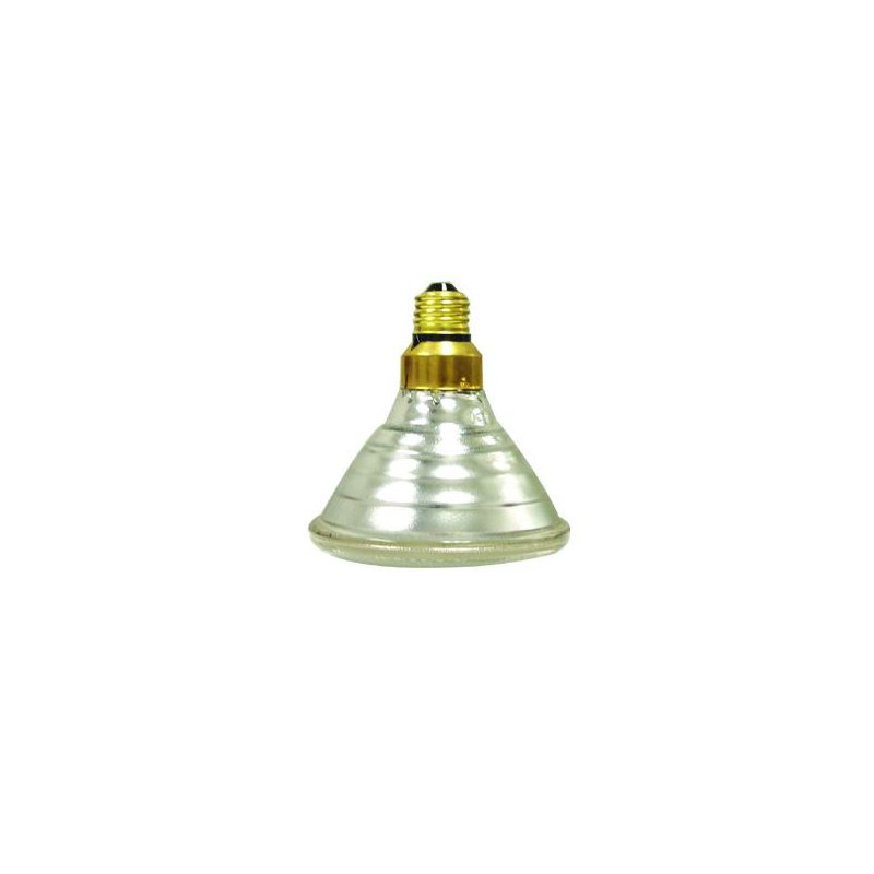 Incandescent Light Bulb, 90W