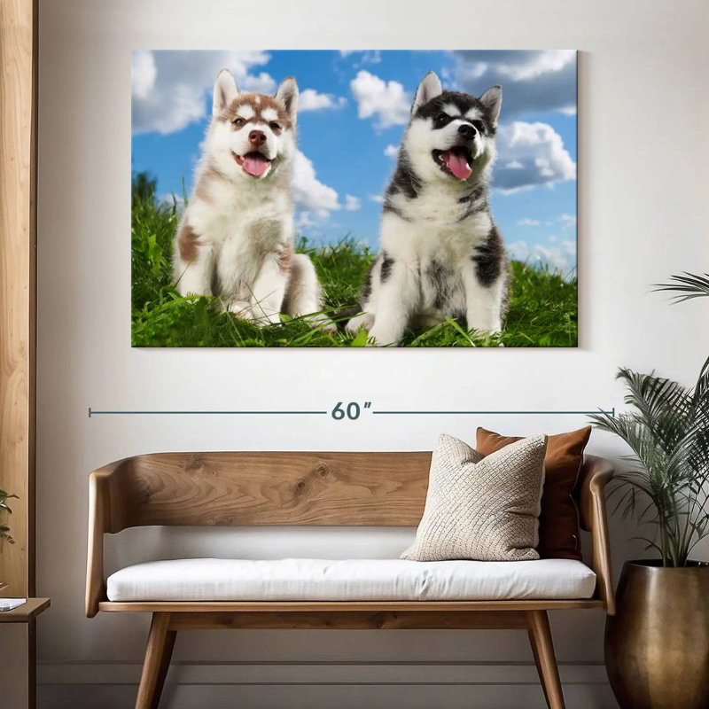 Husky Babies, H 34 po x l 51 po