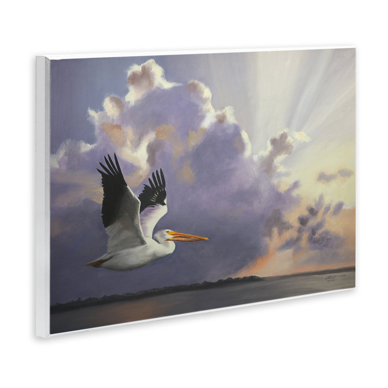 «Dawn Sunrise Pelican» par D. Rust, H 13 po x l 19 po