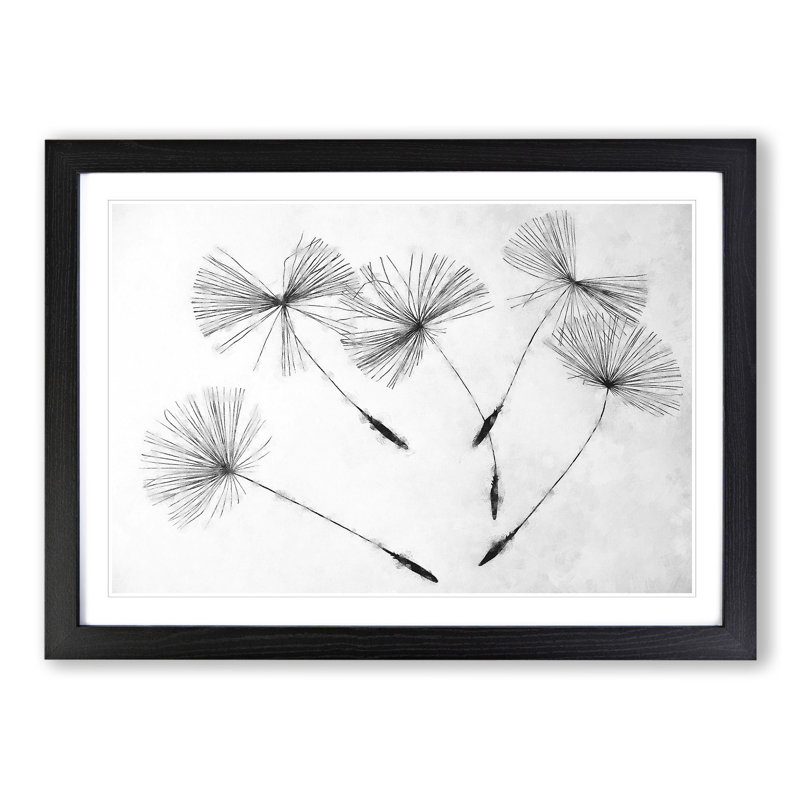 Dandelion Seeds Vol.2 - Framed Print, 36cm H x 48cm W x 2cm D, Black Framed