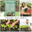 Aaliegha 1 Ft W x 1 Ft D Mini Greenhouse