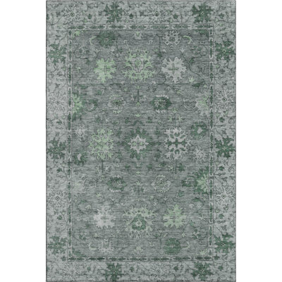 Premium Machine Washable Mayfield AMF2051 Global Rug