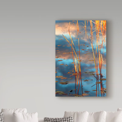 «Cattails At Dusk», reproduction de photo sur toile tendue