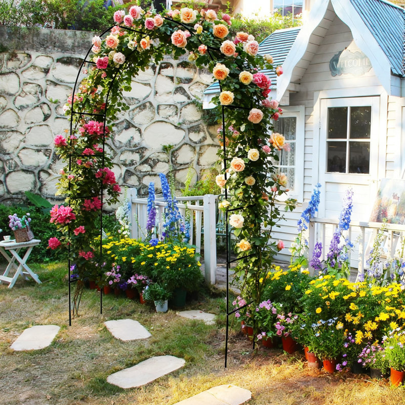 Tonnelle de jardin en métal pour l'extérieur, Noir