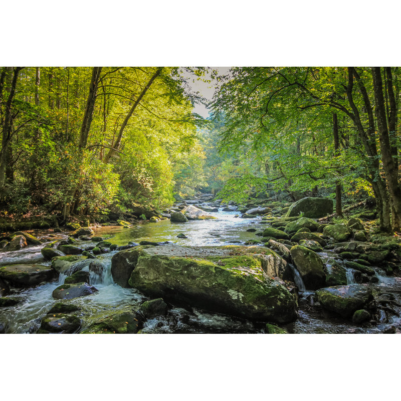 Stream Flowing Through Forest In Tennessee by KLBahr - Wrapped Canvas Print, 30cm H x 46cm W x 3.8cm D