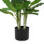 42 "plante artificielle avec pot de Daffenbachia