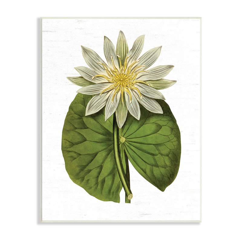 Art floral texturé sur fond de nénuphar rétro, Plaque murale, H 10 po x l 15 po