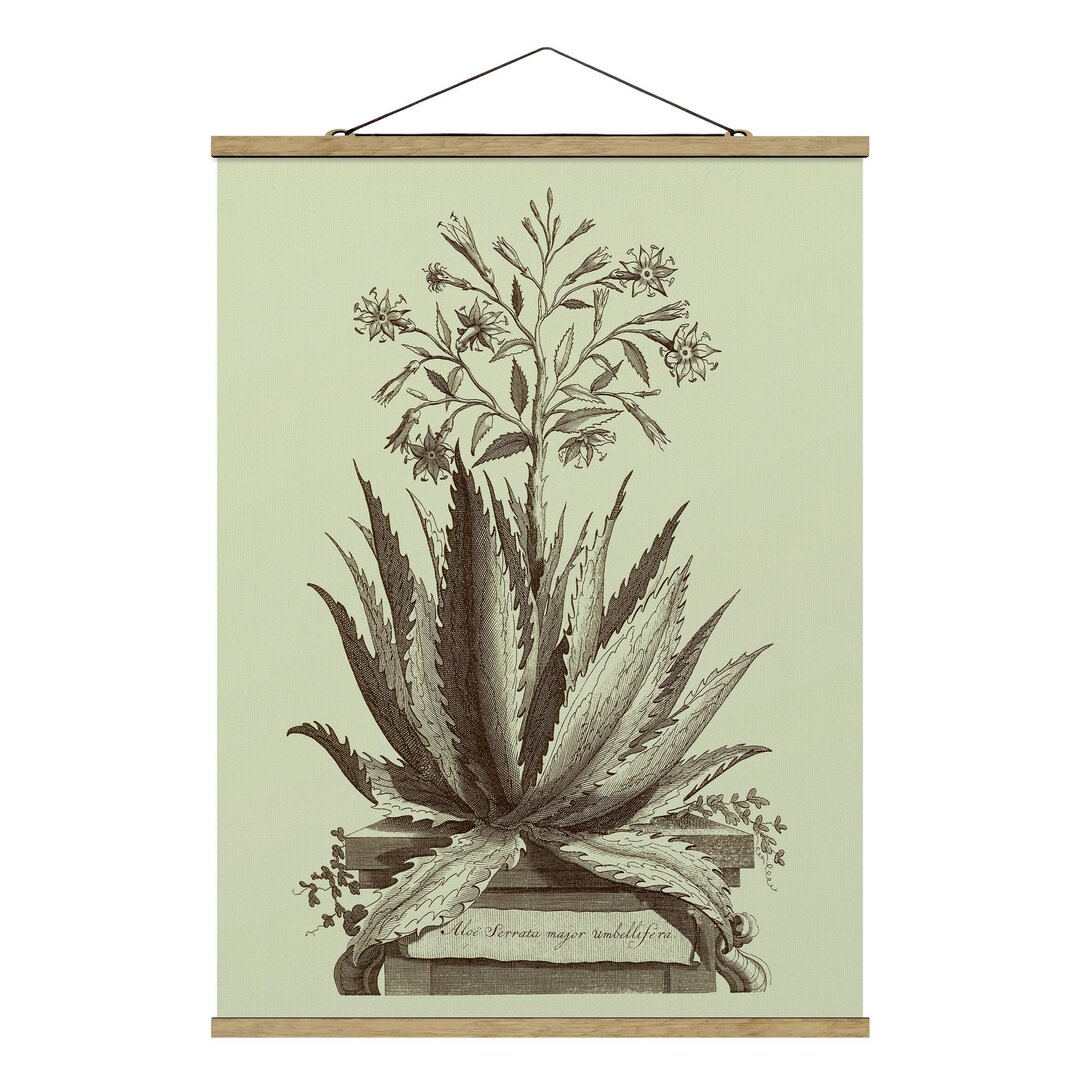 Stoffbild Vintage Aloe Serrata