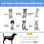 Pawstep Polyester Pet Bed