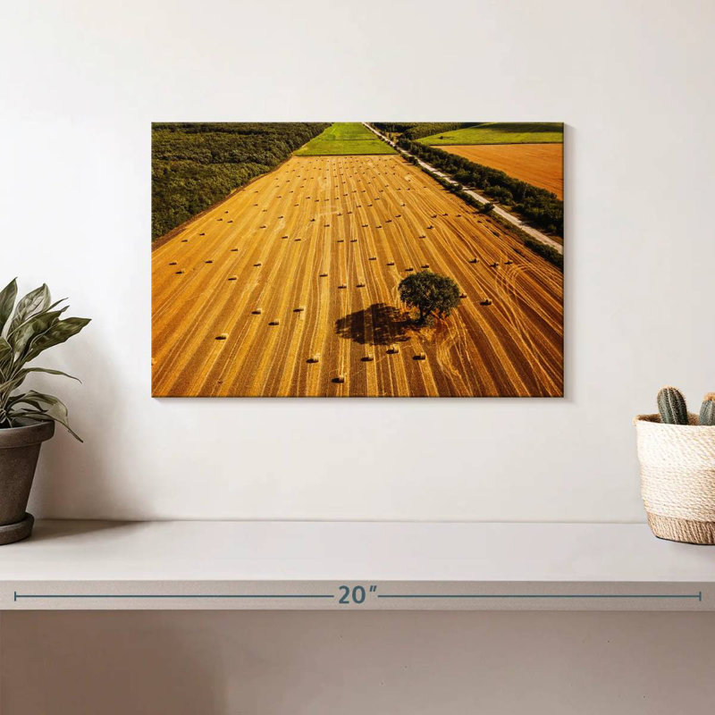 Alvord Hay Bales Fields, H 8 po x l 12 po