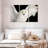 White Owl