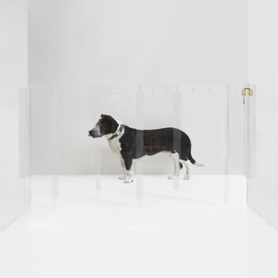 Clear Zig Zag Wall-Mounted Pet Gate