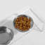 Tall Clear Elevated Feeder with Bowls-875492879