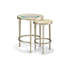 Cadiz Glass Nesting End Table