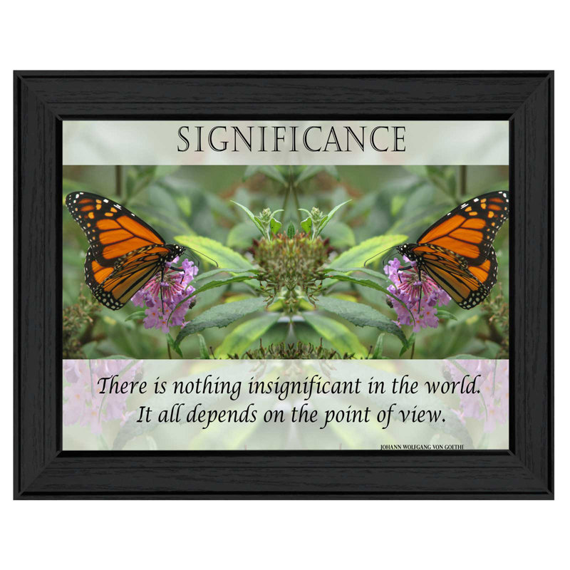 «», reproduction de photo encadrée Significance, H 14 po x l 18 po x P 1,5 po