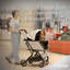 Poussette pour chien InstaCollaps