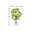 Organic Modern Snowball Viburnum Floral Arrangement