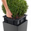 Cubico Planter Box-1342088421-1342088426