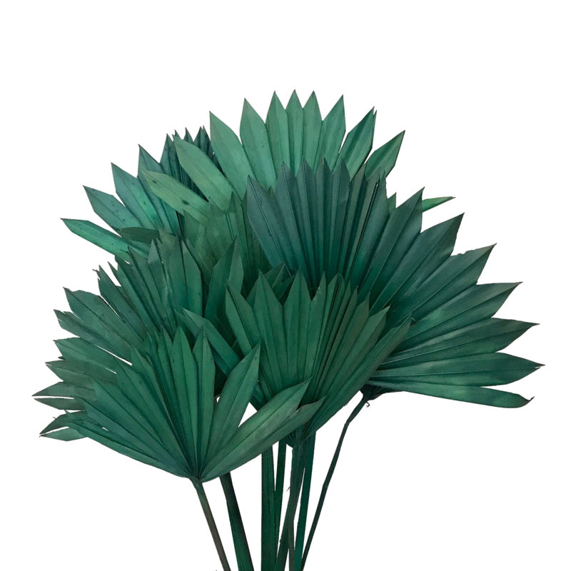 Tige de palmier Forsyth, Vert mousse