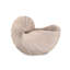 Keaton Nautilus Shell