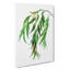 Weeping Willow Tree Branch by Pierre-Joseph Redoute - Wrapped Canvas Painting-55305474