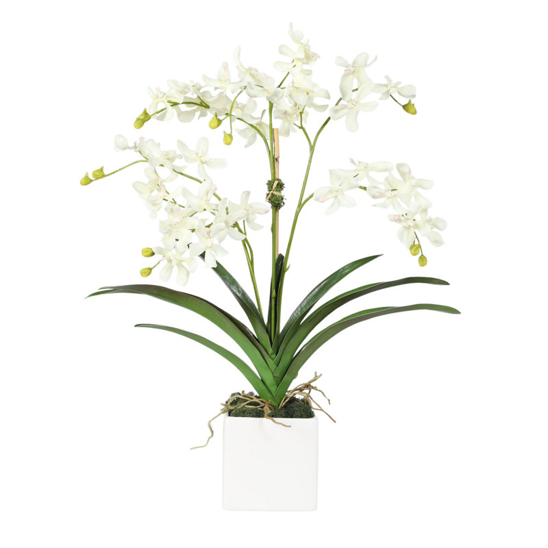 Faux orchidée dans un vase blanc, Blanc, Blanc