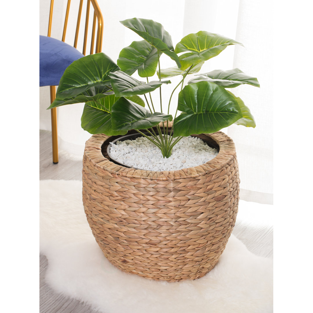 Caenas Pot Planter Bayou Breeze