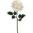 20" Open Rose Stem - 12 Pack