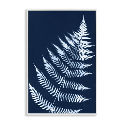 «Blue Fern Impression» par Jason Johnson bg-068