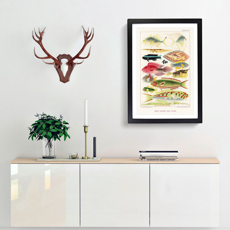 Great Barrier Reef Fishes XVI by W. Saville-Kent - Picture Frame Painting Print, 65cm H x 48cm W x 2cm D, Black Framed