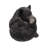Baby Black Bear Lying