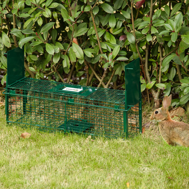 Mouse, Rat, Rabbit Cage