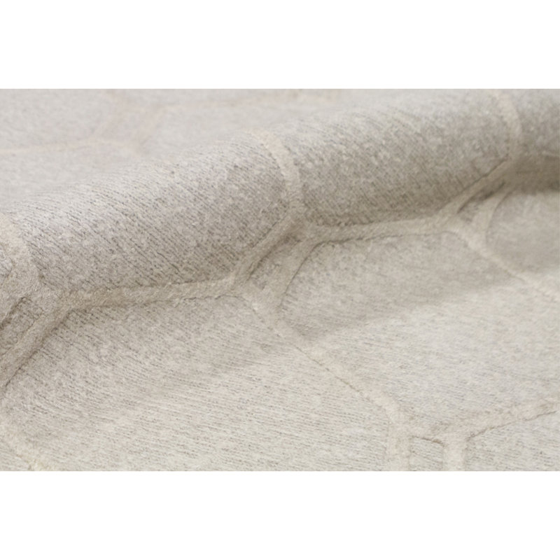 Wool Geometric Area Rug in Beige