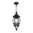 Alaray Outdoor Hanging Lantern