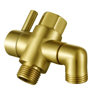 Shower Valve
