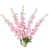 Rose est en rupture de stock