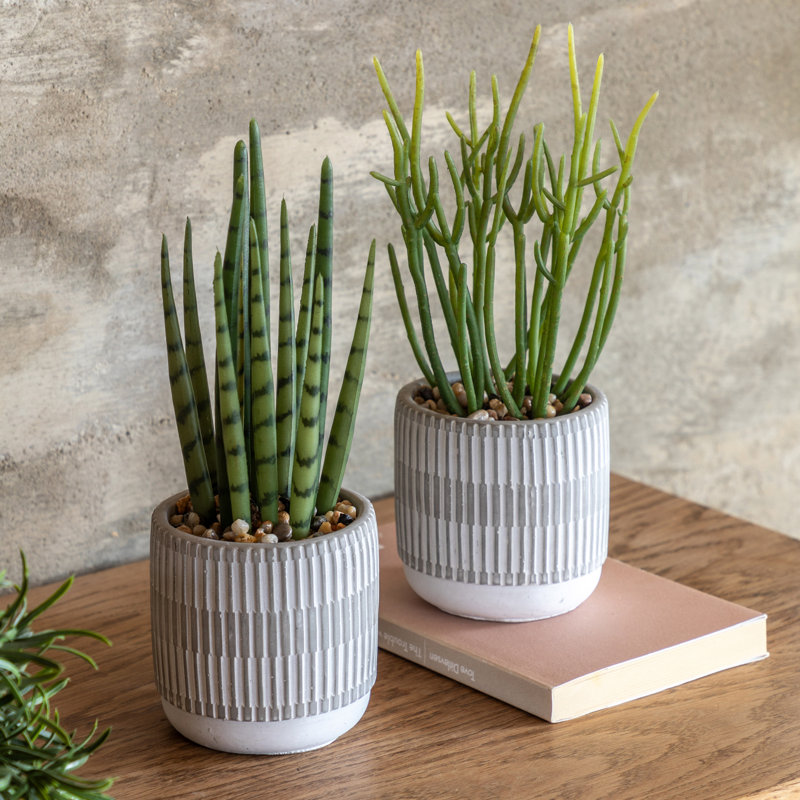 Small Succulents Ceramic Pots