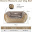 Pet Bed