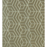 Optimist Hoopstar Fabric
