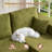 Seren Boneless 106" Modular L-shaped Sectional Sofa With Ottoman, No-assembly Cloud Couch, Boneless Design For Modern Living-116240538-116240537