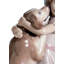 Figurine de chien chaleureuse et accueillante