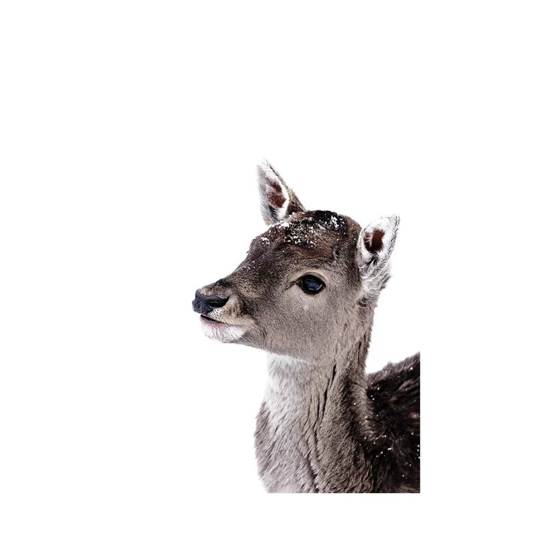 Little Fawn Fiona II 1 Piece Wrapped Canvas Painting, 66.04 cm H x 45.72 cm W x 3.175 cm D